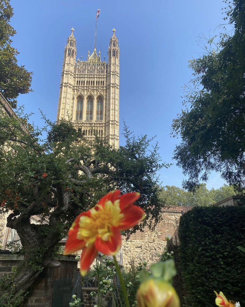 UKParliament's tweet photo. We love this view of #VictoriaTower from @wabbey gardens 🌼
Thank you to louise_sally on Instagram 🤳
Tag #BigBen or #PalaceOfWestminster for a chance for your photo to be featured on our channels. https://t.co/hkAGXCBeN9