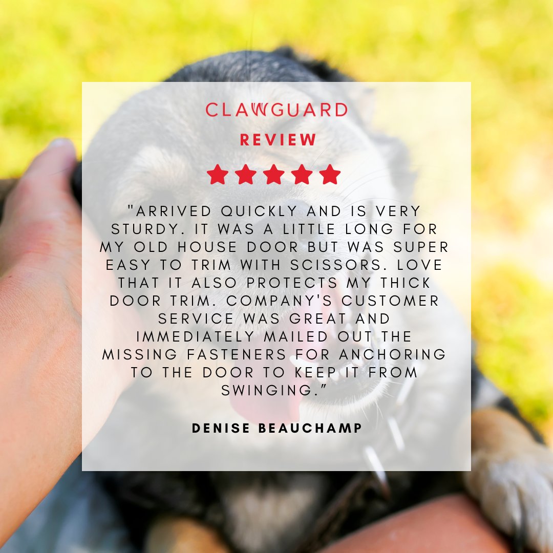 Thank you, Denise! 

🌐 clawguard.com 

 #clawguard #dogs #dogsofinstagram #puppies #dogs #dogsofinsta