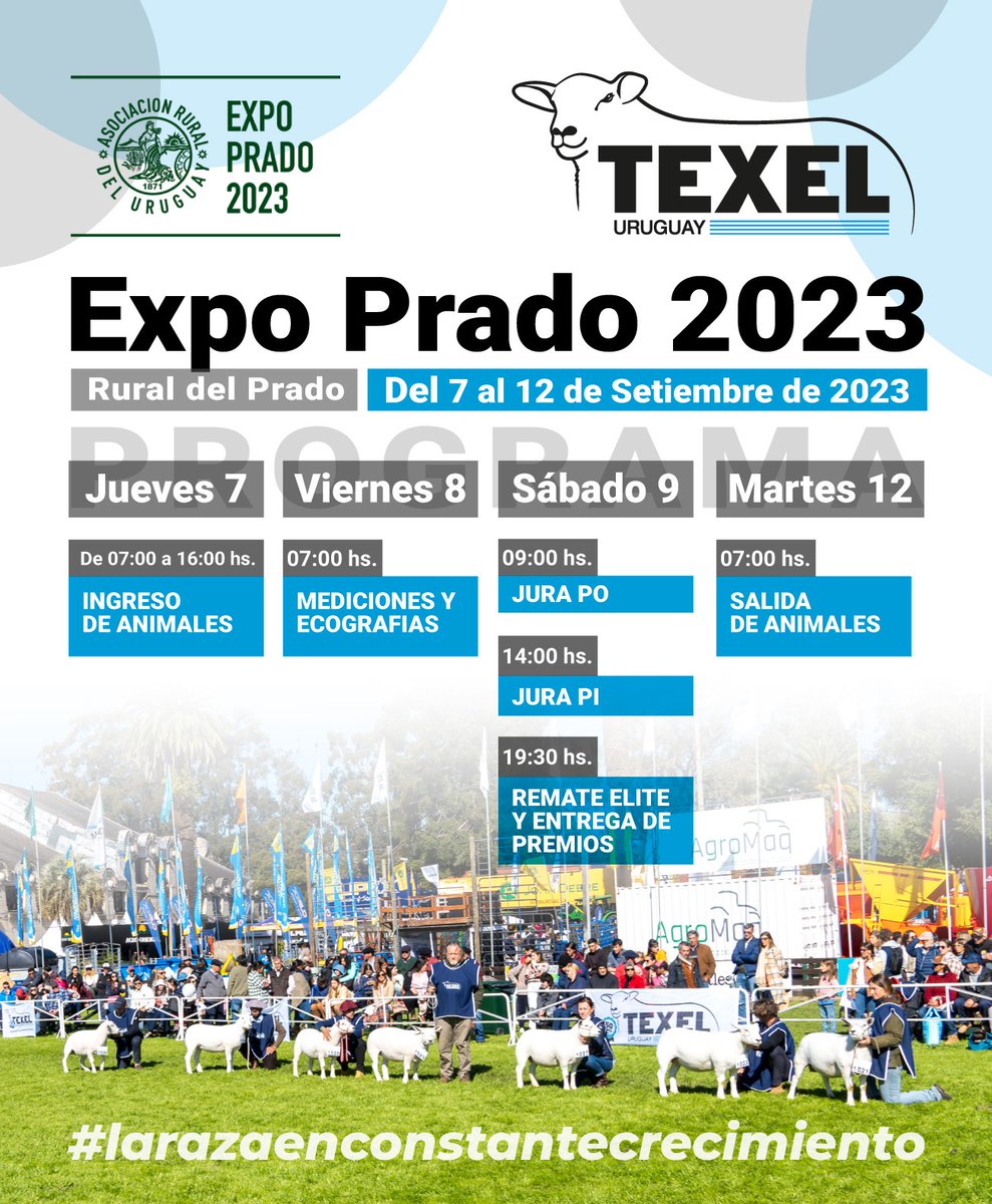 🗣️📣 Les dejamos cronograma de actividades para <a href="/TexelUruguay/">Texel Uruguay</a> en <a href="/ExpoPrado/">Rural del Prado</a> 

    #larazaenconstantecrecimiento 

Los esperamos por nuestro stand
🏠🔝🎖️🏆🐑