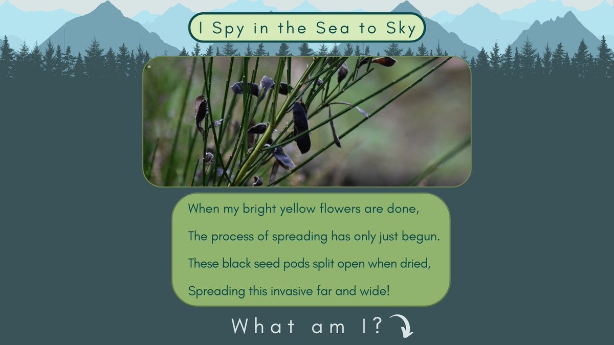 Sea To Sky Invasives tweet media