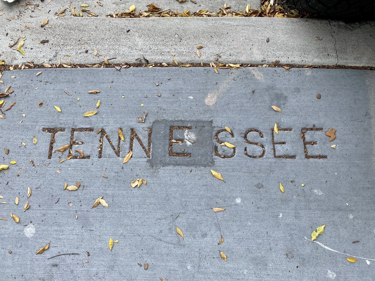 Thomas Rogers tweet media