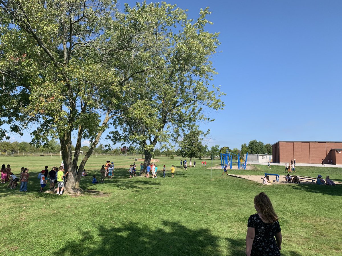 Cookstown Central Public School tweet media