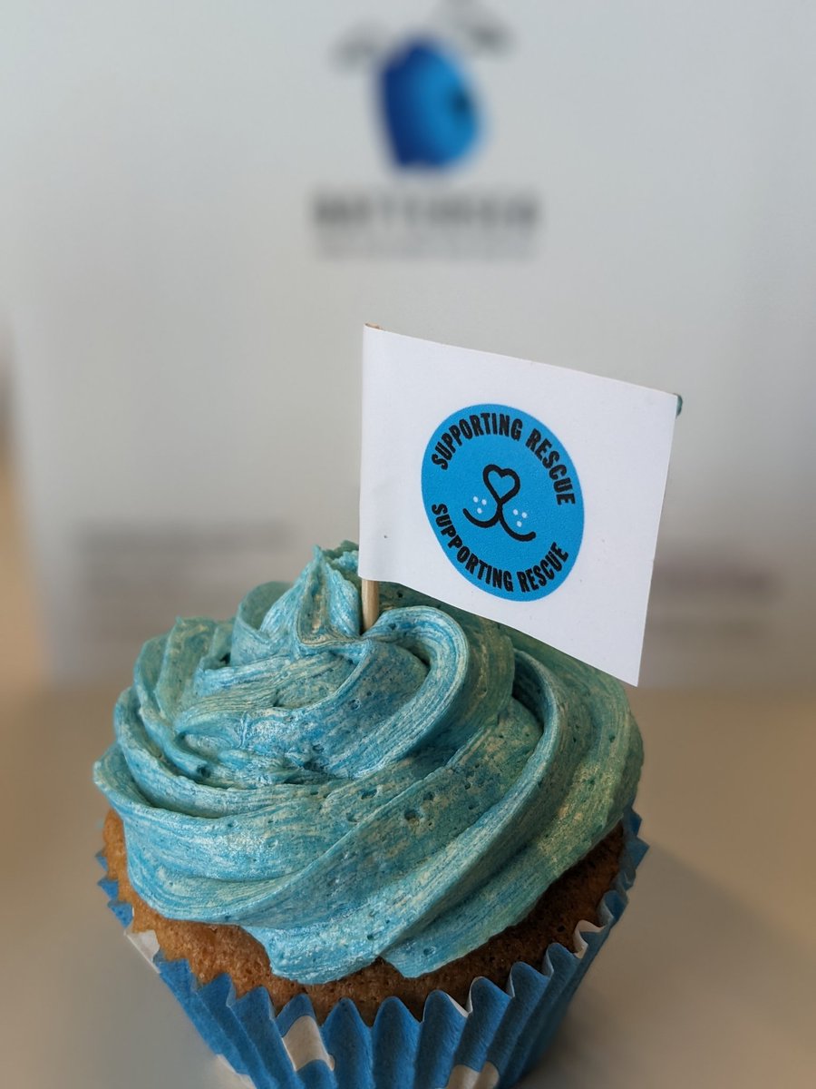 💙 What a perfect reason to enjoy a cupcake 🧁💙 Support Battersea by buying from our #WearBlueForRescue collection. Every purchase helps to support more dogs & cats in our care and beyond. 🐶😼