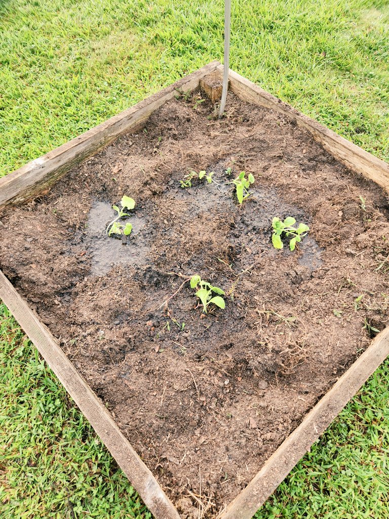 Kimberly Mirsky tweet media