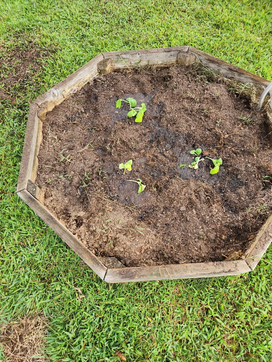 Kimberly Mirsky tweet media