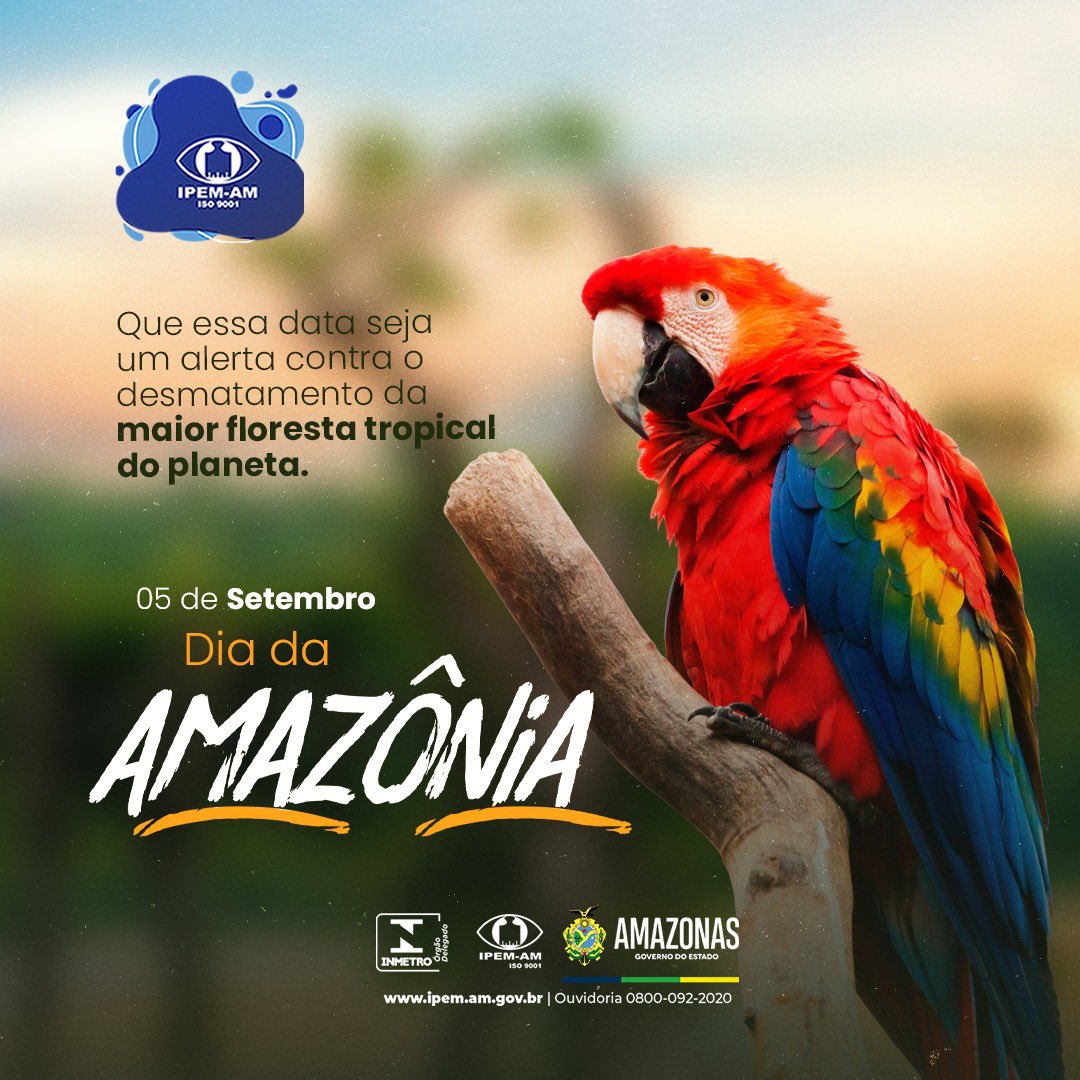 ipemamoficial's tweet photo. Todo dia é dia de lembrar e cuidar da maior floresta tropical do planeta. Salve a nossa Amazônia 🌳🌱🍃🌍
#Amazonas #Anodi #IpemAm #Inmetro #GovernoAM #diadaamazonia https://t.co/0TARfrWuCX