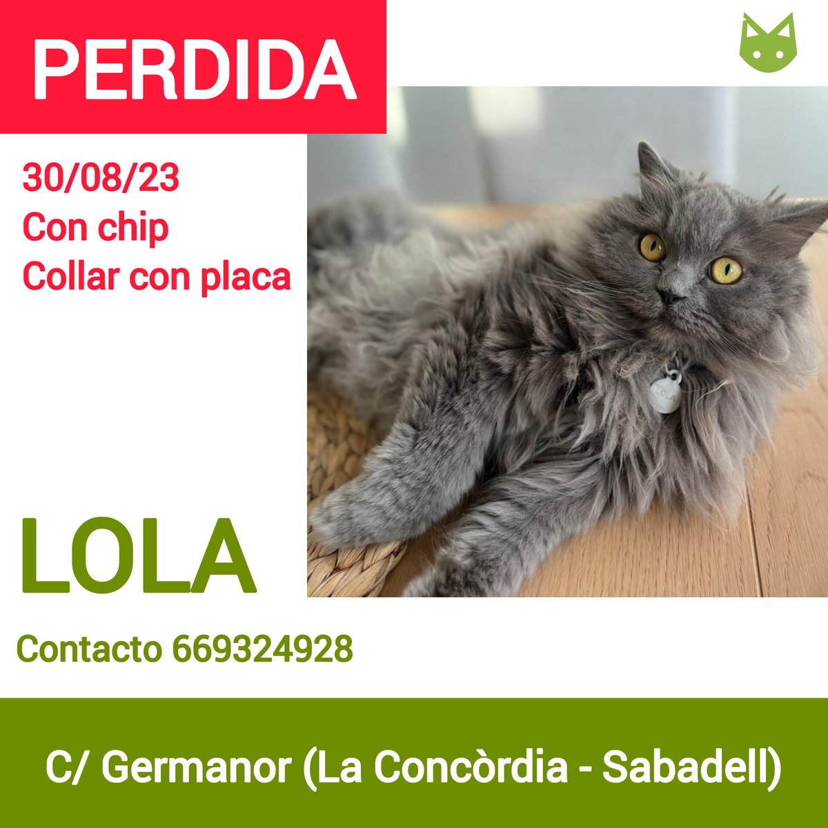 ProgatSabadell's tweet photo. 🆘Ens ajudeu a trobar-la?
🚨Es diu Lola, gata amb xip i collaret amb placa, desapareguda al C/ Germanor (La Concòrdia - Sabadell)
☎️Contacte 669324928
🙏Ajudeu compartint i buscant-la per la zona.
#gatperdut #perdut #esbusca #sabadell #ajuda #xarxabarcelonaperduts https://t.co/NI44nV6fsF