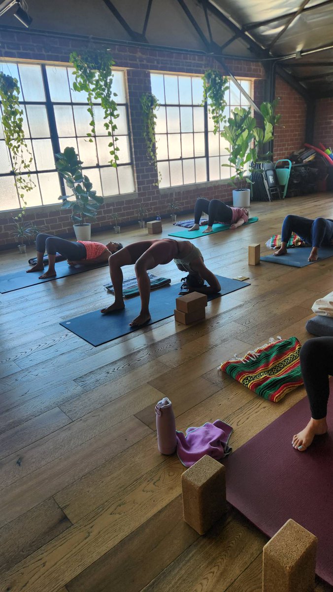 Now that the 3-day weekend has ended, it's time to get back on the wheel. Check our schedule of classes in the bio! $39 for 30 days of yoga!