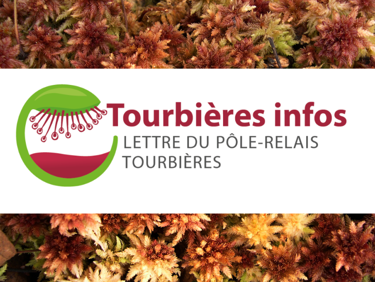 [#NEWSLETTER] Les dernières #actualités 📨 sur les #tourbières sont à retrouver dans le Tourbières infos n°125 🍂
pole-tourbieres.org/le-pole/le-der…
