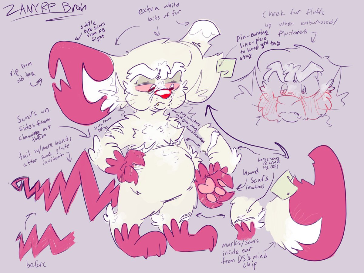 tired_enby's tweet photo. heres brain's updated ref sheet heheh #zanyrp https://t.co/ods0NWhtyq