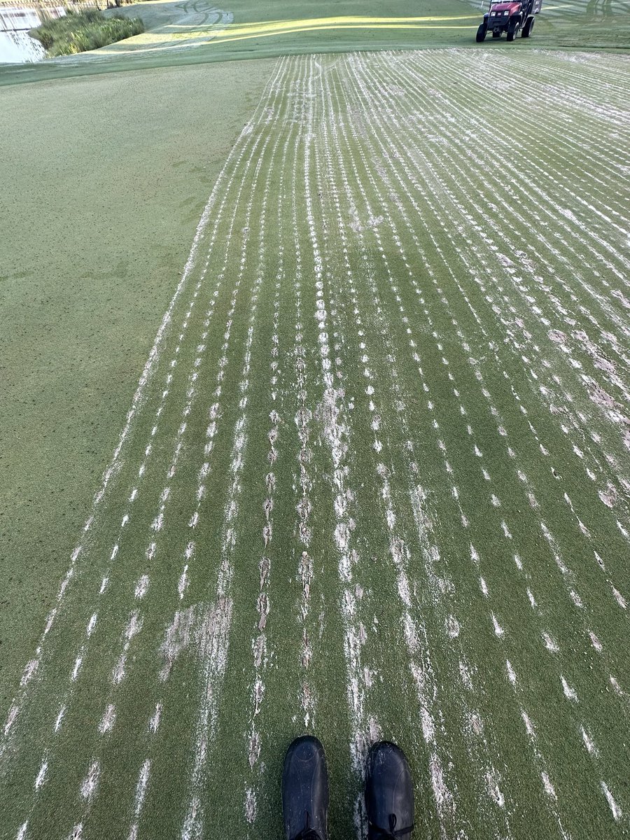 Chase Sbarro tweet media