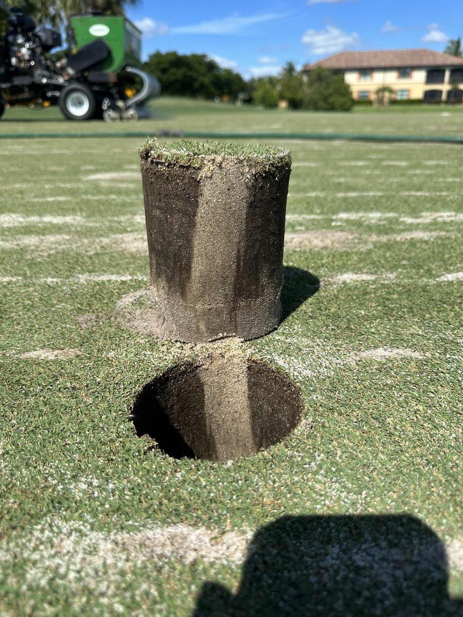 Chase Sbarro tweet media