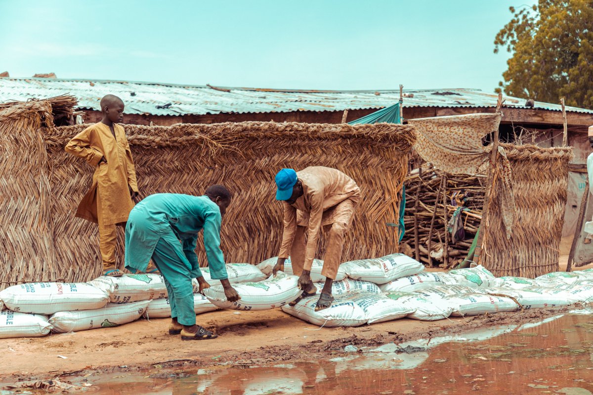 IOM_Nigeria's tweet photo. In Bama, community-led initiatives are implemented by IDPs in camps to reduce vulnerability to floods and enhance resilience to the impacts of climate change. https://t.co/2iqUi6T9Ry