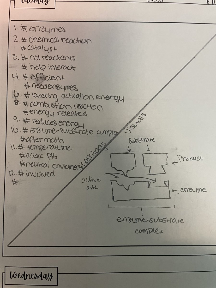 LRainsSharma's tweet photo. The DZ RLA team set my scientists for success. These Hawks rocked #annotations this morning on the Z-chart. #hashtag #readinginscience @MsKlavinDZ @omegacramos @DeelightlyDiana https://t.co/vtRZG0Uv62