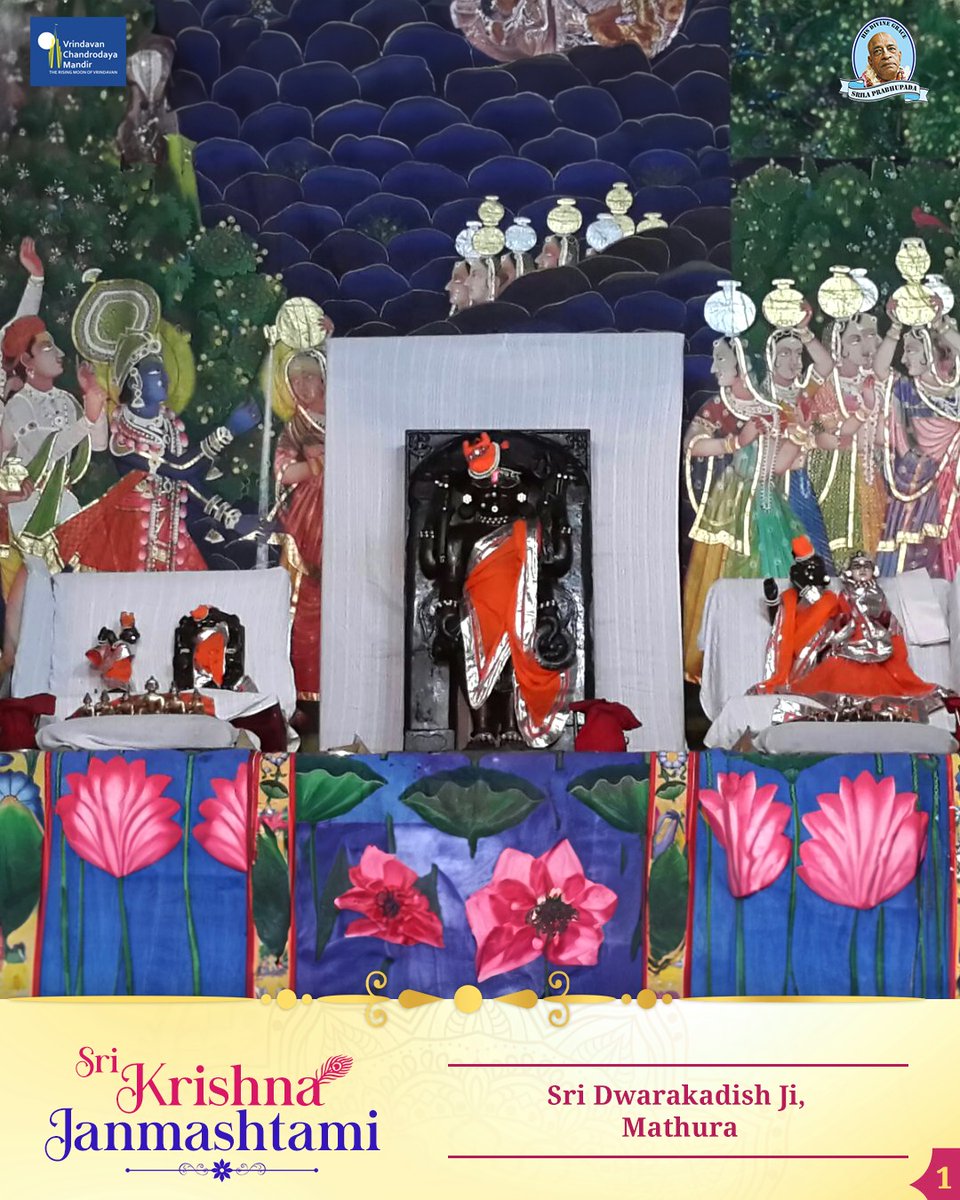 VCMVrindavan's tweet photo. Sri Dwarkadish ji,
Mathura
.
Join us in the grand Sri Krishna Janmashtami celebrations at A Dot Convention center, Gurugram.
.
.
.
.
.
.
.
.
#VrindavanChandrodayaMandir #Vrindavan #TallestTemple #Janmashtami #Gemsofvrindavan #ExploreBraj #Dwarkadish #mathura https://t.co/L7bOJao8I9