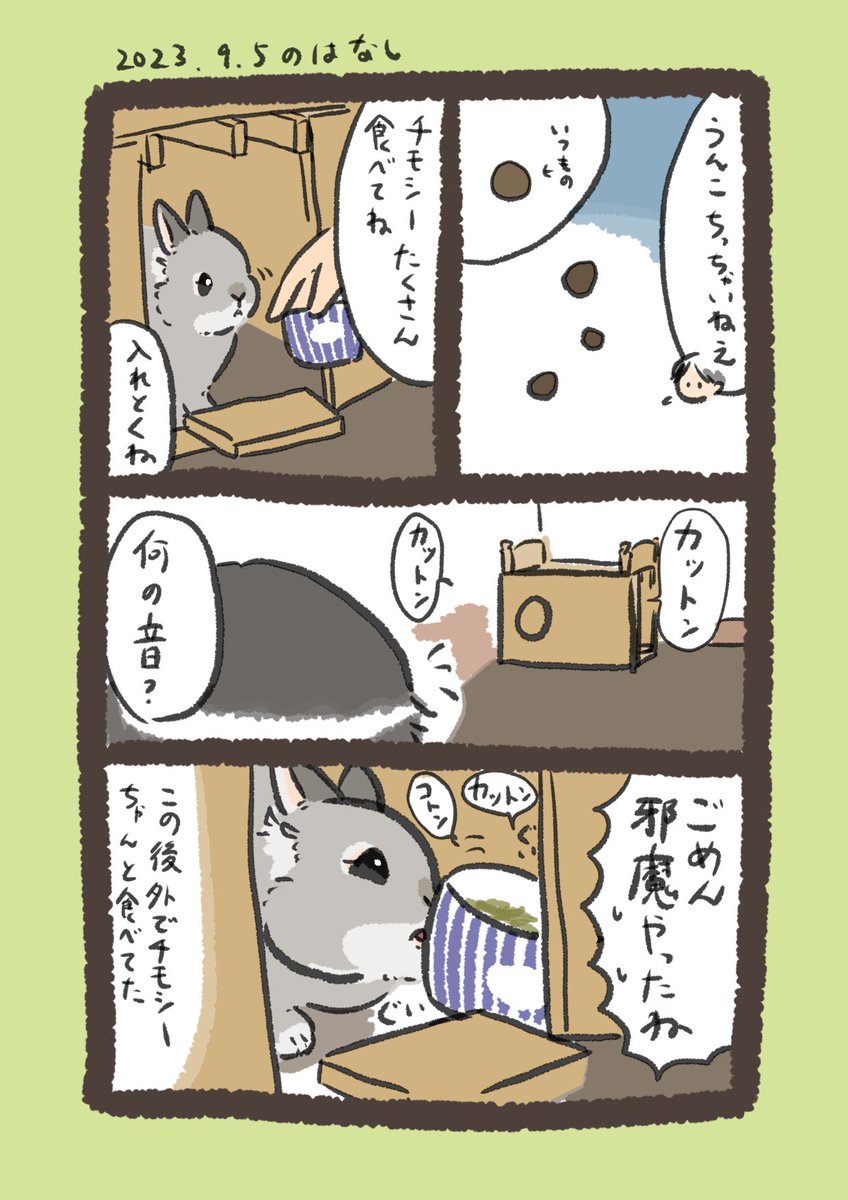 カットン コットン

#うさぎのいる生活 