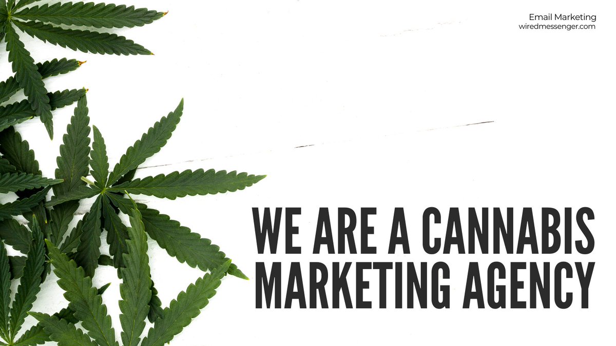 We are an experienced #cannabismarketing agency that can build you a unique, distinctive brand. We utilize creative solutions and proven tactics to ensure your growth and recognition. DM us today to get started. #digitalmarketing