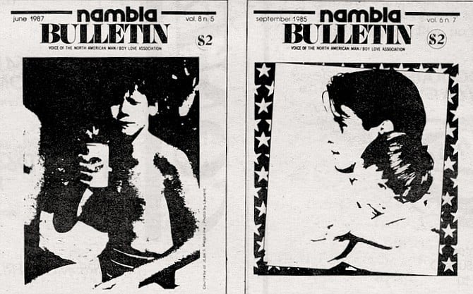 ZebraStrongMama's tweet photo. @mamaknowsbooks @occupylibraries @htxkidsfirst @Matthew_XVIII @marylibrarymi @thedaughter17 Yes, they have. These covers are no where near the beginning either. #ExposeKinsey #ExposeNAMbLA #StopCSE #ChildrenOfTable34 https://t.co/1oMVGnmuLL