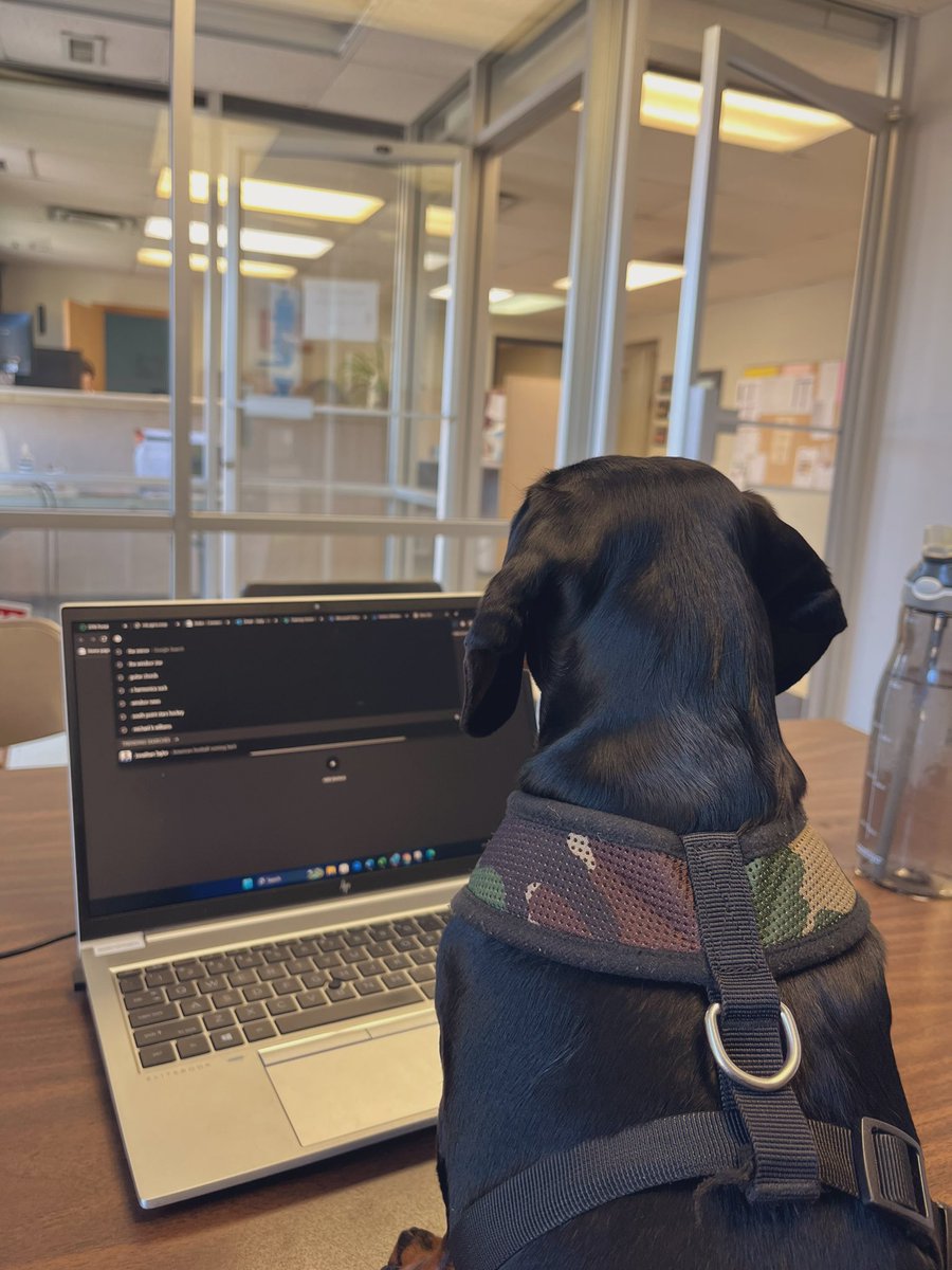 Nick Williamson tweet media