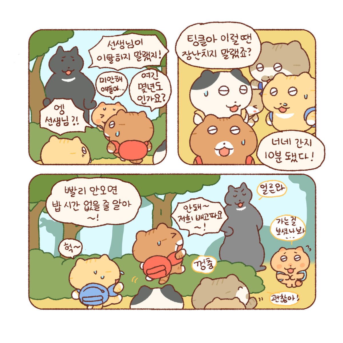 (3) 