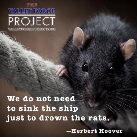 vforgeproject's tweet image. #TermLimits #campaignfinancereform