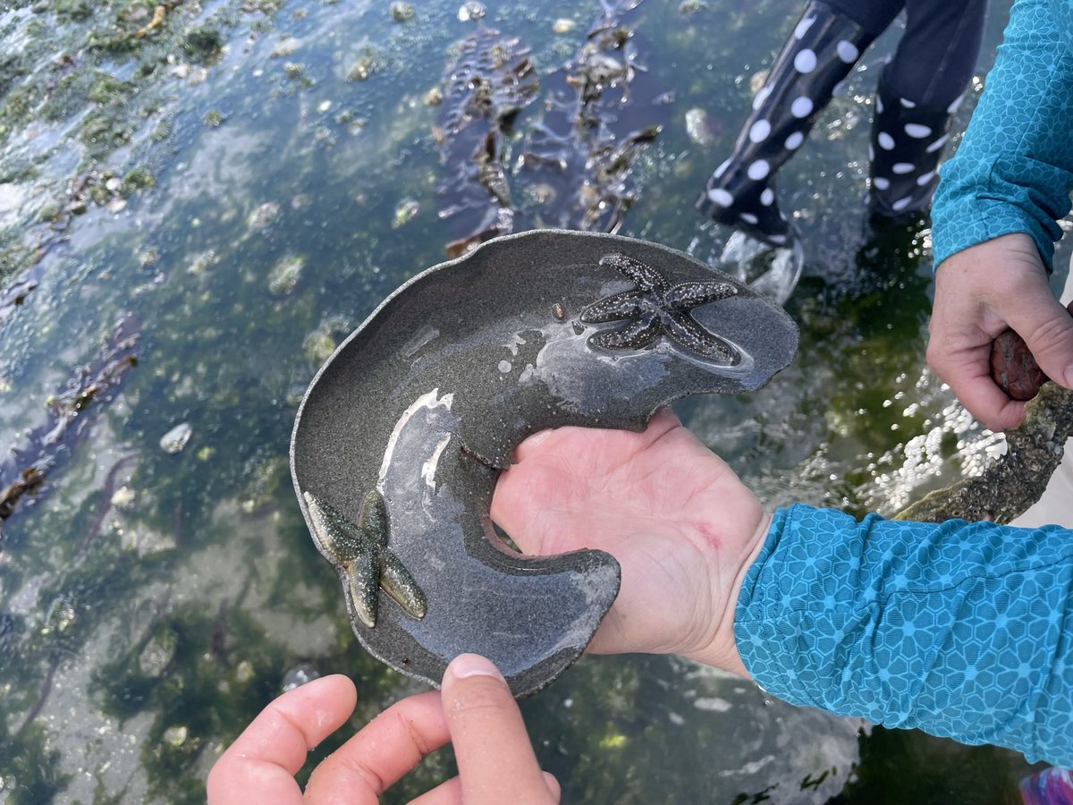 Amanda Zhou tweet media