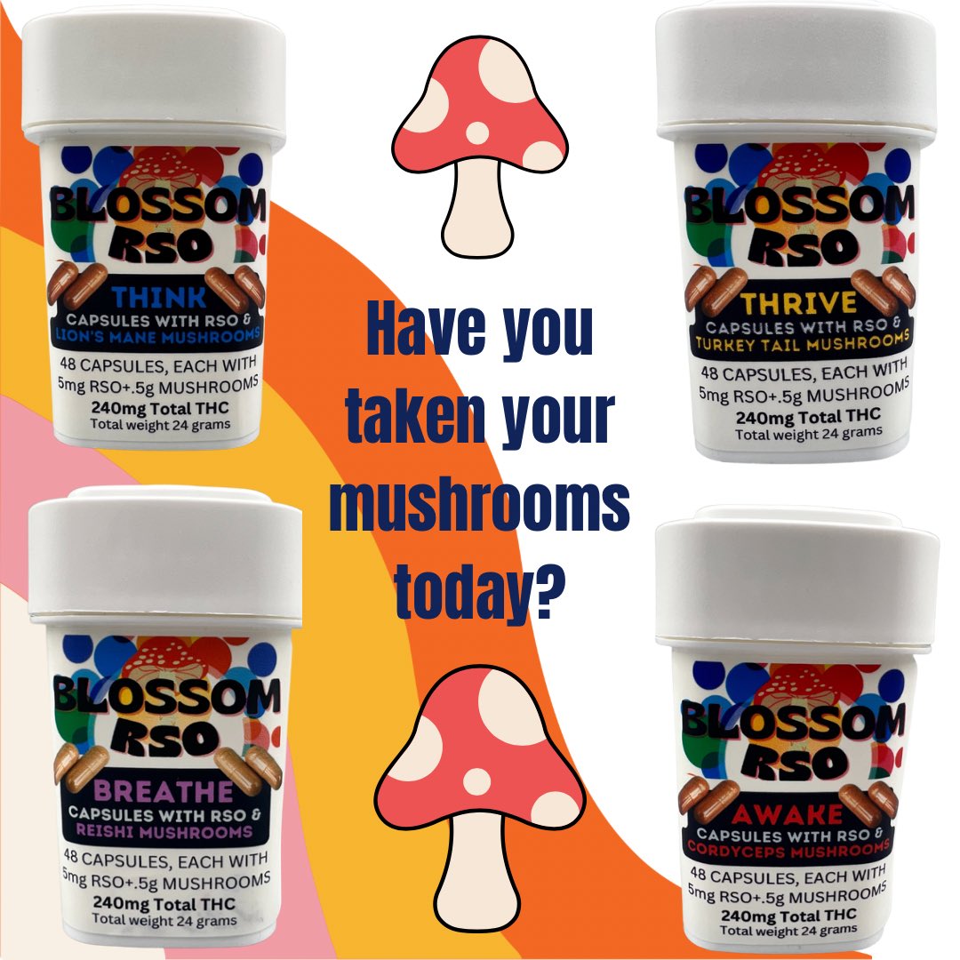 BlendingLlc's tweet photo. Did you know mushrooms can help you with all kinds of physical issues? Some people find that Lion's Mane helps with cognitive functioning and memory. Reishi can be helpful with anxiety. Cordyceps gives a boost of energy without the crash.  Learn more here: https://t.co/3B7PlQozN1 https://t.co/NWG3JOnvJp