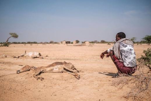 ActionTai's tweet photo. Climate financing must reach those adversely  affected by climate change; The pastrolist who practice #Pastoralism which has been the most viable production system in the drylands. https://t.co/vuUJleLq8L