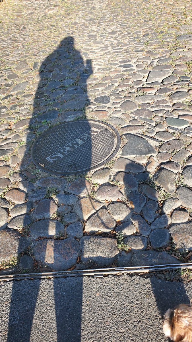 After spending labor day on Nantucket and biking to Madaket Beach from the Port, I have developed more terror for how messed up the Westlands are, <a href="/KDEdwards_NC/">KD Edwards is almost done with THE MISFIT CARAVAN</a> I saw so many snapping turtle warning signs and so little actual homes compared to bogs/swamps. I have QUESTIONS