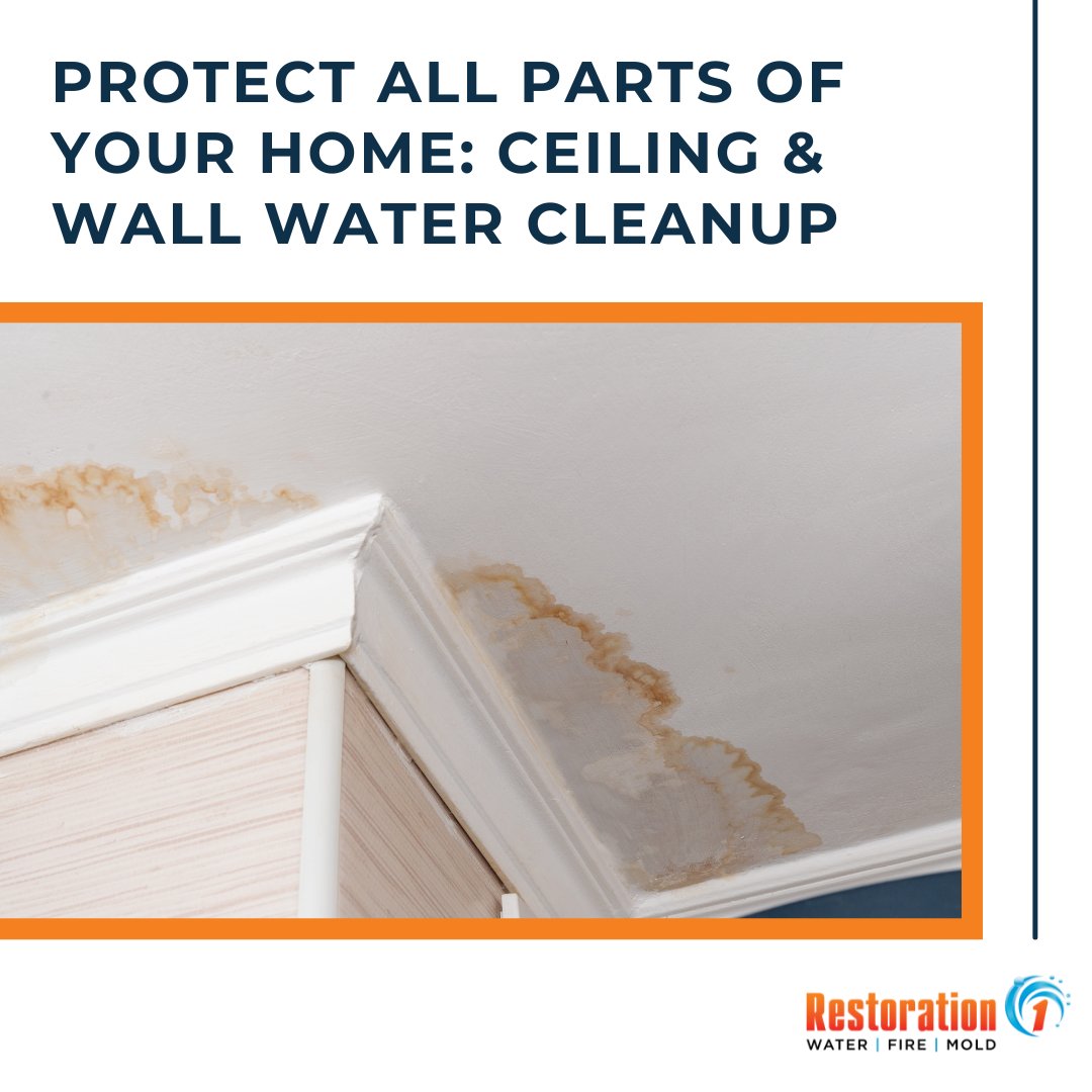 This Hurricane Season, your property deserves the best care, and we're here to provide it with the help of experts certified in handling this type of water damage cleanup.! Learn more about our ceiling and wall water cleanup services: restoration1.com/residential-se…