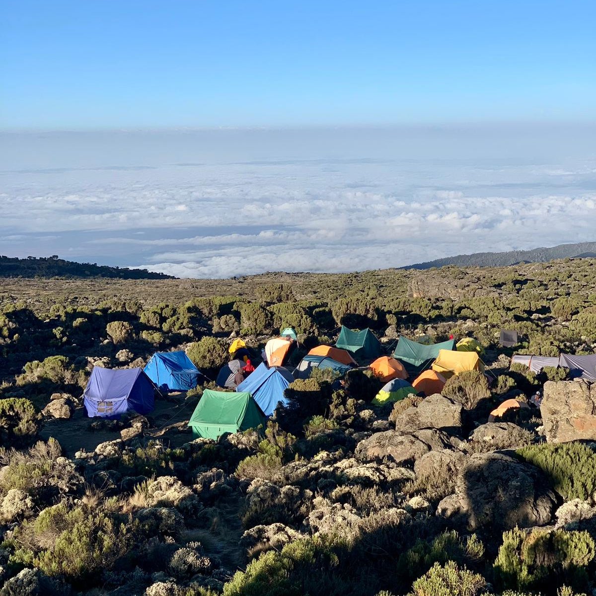 rootstojustice's tweet photo. Congratulations to Felix who, after 9 days of trekking, has made it back down from Mount Kilimanjaro!

Felix has been climbing Kilimanjaro, a personal ambition of his since childhood, to raise funds for Roots2Justice. https://t.co/3i8q063Z7W