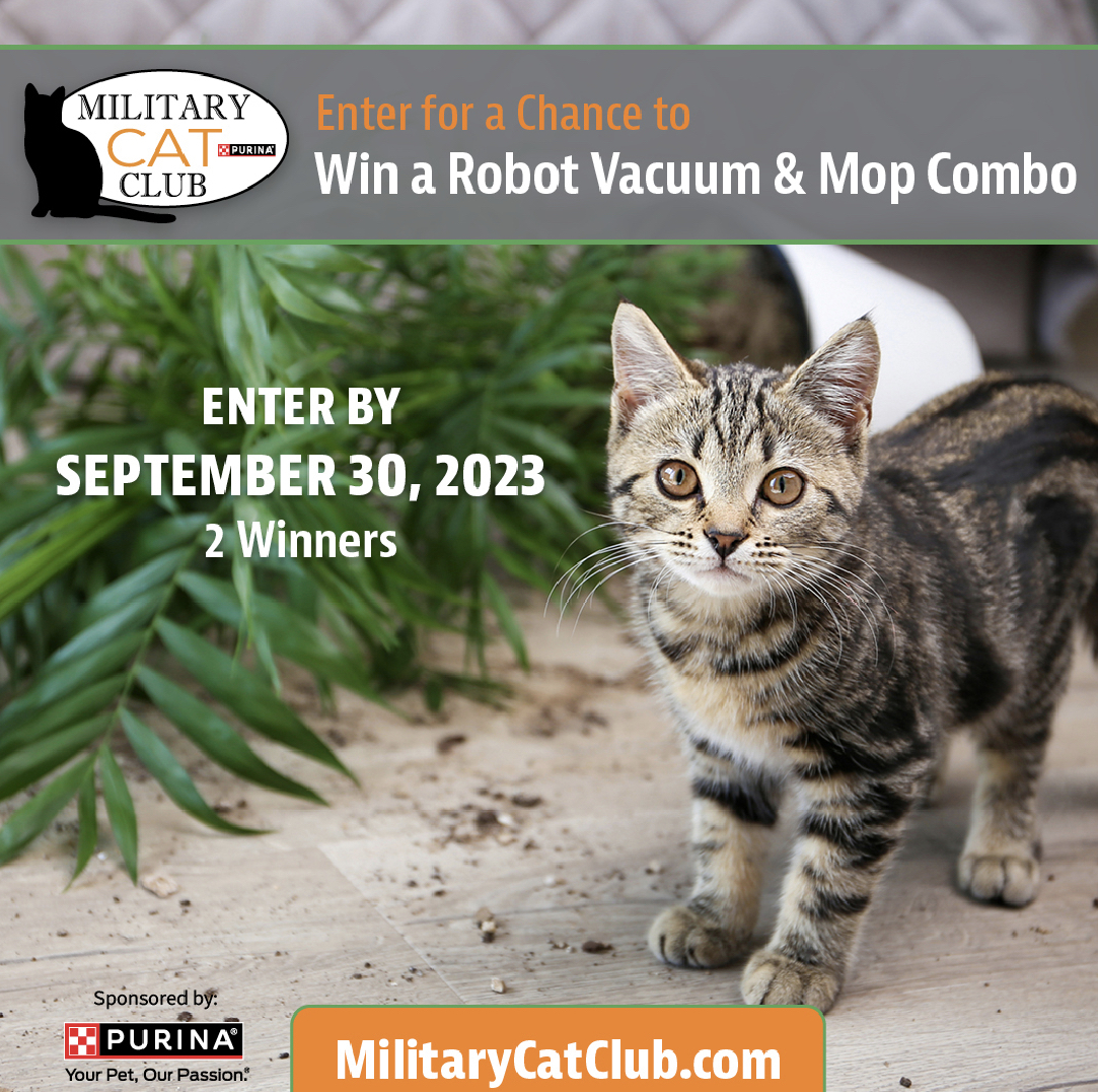 Get your house ready for the holidays by staying on top of vacuuming! 

Join The #MilitaryCatClub 🐱 
🐶 Enter in to win! 
Bit.ly/MilitaryCatClub
#militarycatclub #purina #catslover 
#dogs #militaryspouse #militaryhistory #militaryhomecoming @purina