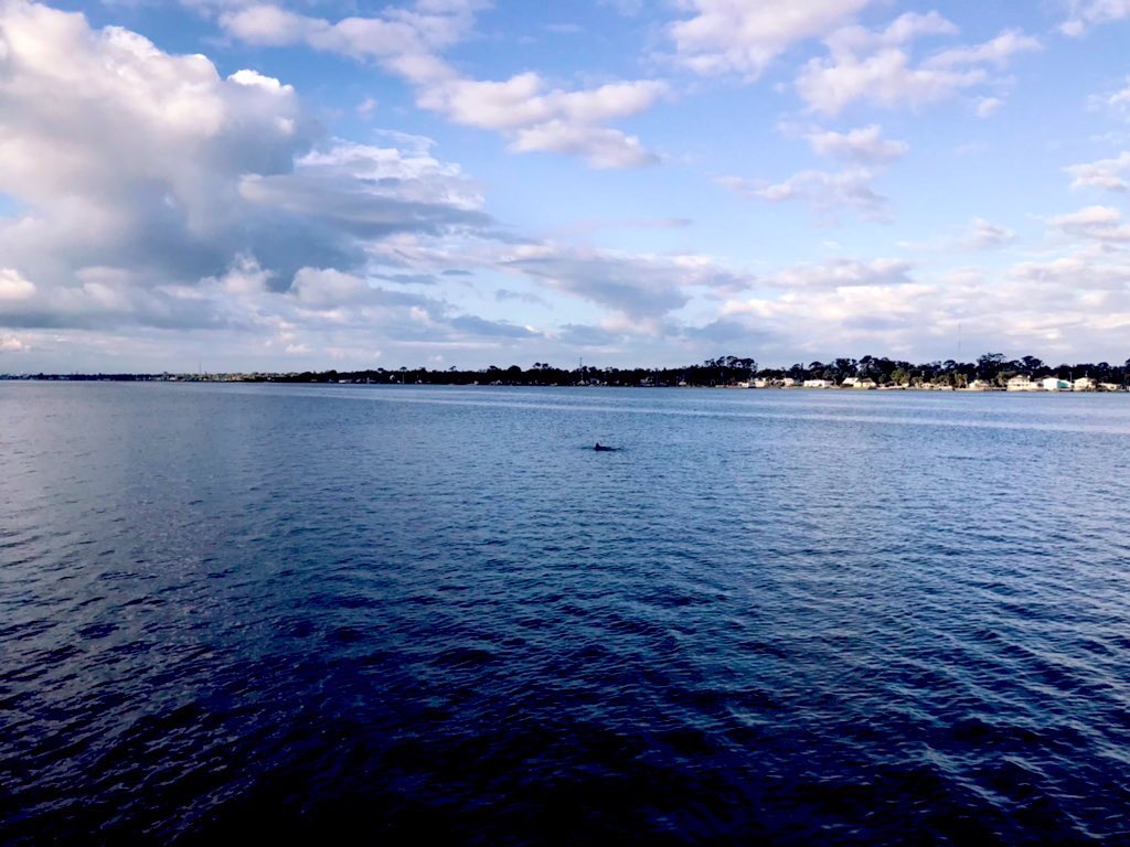 EileenPCarry's tweet photo. #Life—born to move forward—always forward, beyond noisy meaningless spell of #words—until no words are necessary.  
#KeepLookingup 
#FollowNaturesExamples 

Crystal #blue persuasion. 
📲 #FL https://t.co/c4112ICUQR
