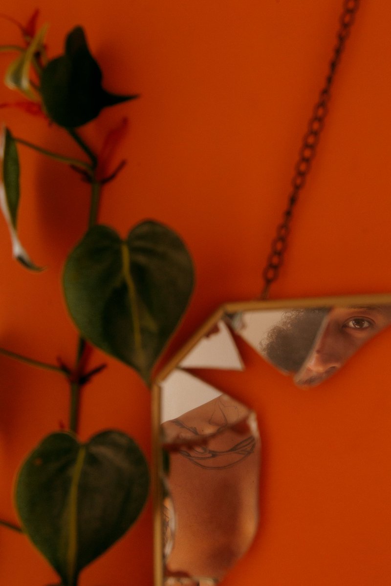 Hernandes tweet media