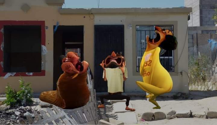 Reds Tudent tweet media