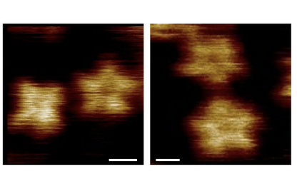 LaskerFDN's tweet photo. Using high-speed atomic force microscopy, scientists discover that the ion channel TRPV3, known to be a tetramer, can transiently and reversibly become a pentamer.
#HS_AFM
@ShifraLansky @ScheuringLab @YiningJiang @YuanLabSinai
https://t.co/POjG9uaZeP https://t.co/yopRRiAx94
