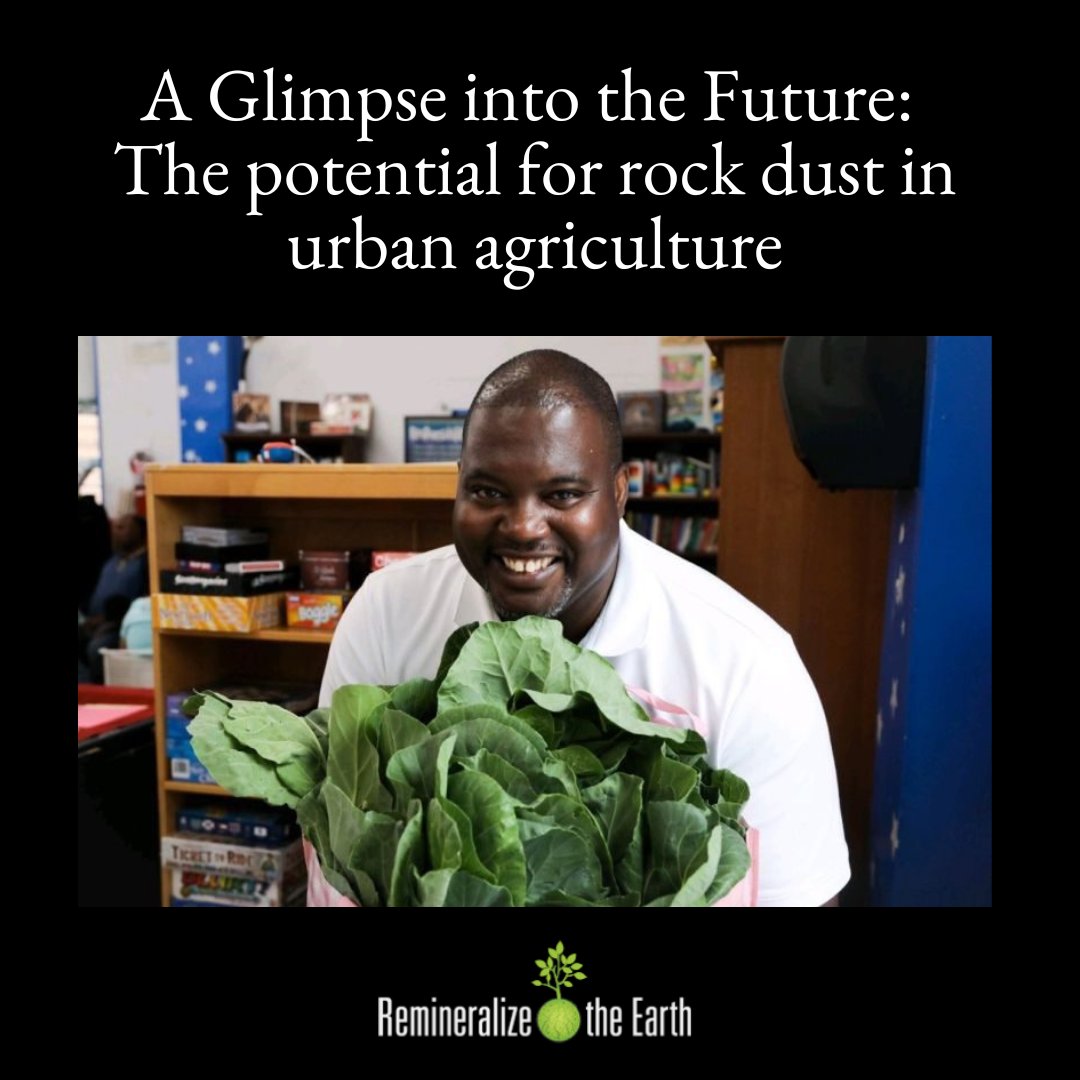 remineralize's tweet image. Kwesi Joseph, the Urban Gardens Specialist in New York City, has begun experimenting with rock dust in the city soil, hoping to begin a new way of life for urban residents around the world. rb.gy/2fdiv
#rockdust #urbangardening #remineralization