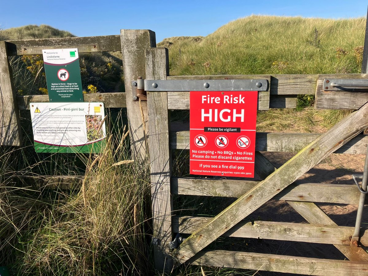 With the recent dry weather the NNR and the adjacent coastal strip has been classified as a high fire risk area.  Please be vigilant and continue not to have any open fires or discard cigarettes.