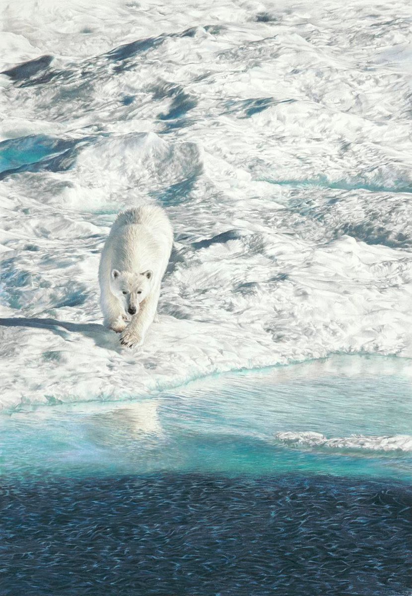 David Shepherd Wildlife Artist of The Year 2023 is now open! 

You can now view and purchase all of the selected finalist works on the website, 50% of all proceeds will support DSWF and their conservation partners 🩵 <a href="/DSWFWildlife/">David Shepherd Wildlife Foundation</a>