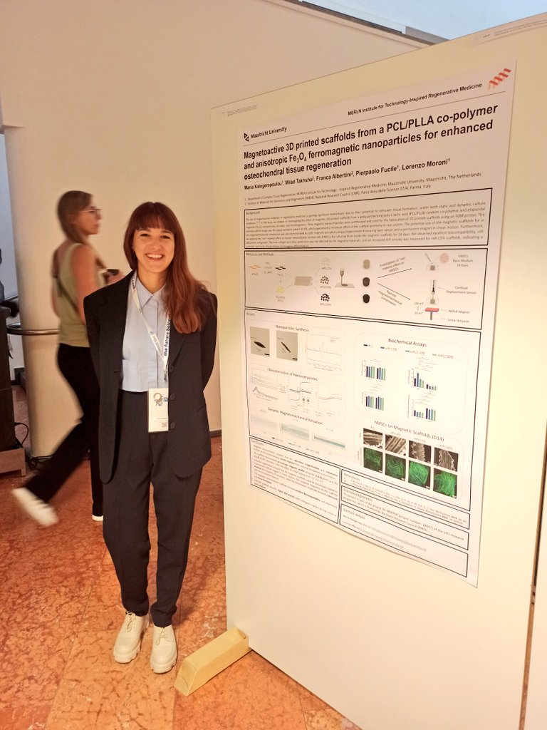 Can magnets help in tissue engineering? Happy to discuss our most recent findings on #magnetoactive, remotely actuated scaffolds for #osteochondral tissue regeneration at @ESB2023 🧲🧲🧲 @MoroniGroup @MERLN_UM @PierpaoloFucile