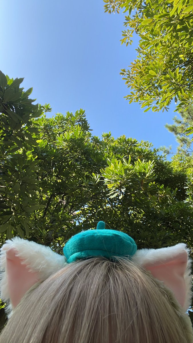 aa13y_'s tweet photo. 22歳になったのだ~!!
去年の誕生日の写真🙌🏻

去年は1週間前にインフルになり
1週間後に交通事故にあったので、
今年は何事もない平凡な生活を送りたいです😵‍💫🩷

22歳もよろしく㌨๛ก(ｰ̀ωｰ́ก) https://t.co/HkYUcJhqdq