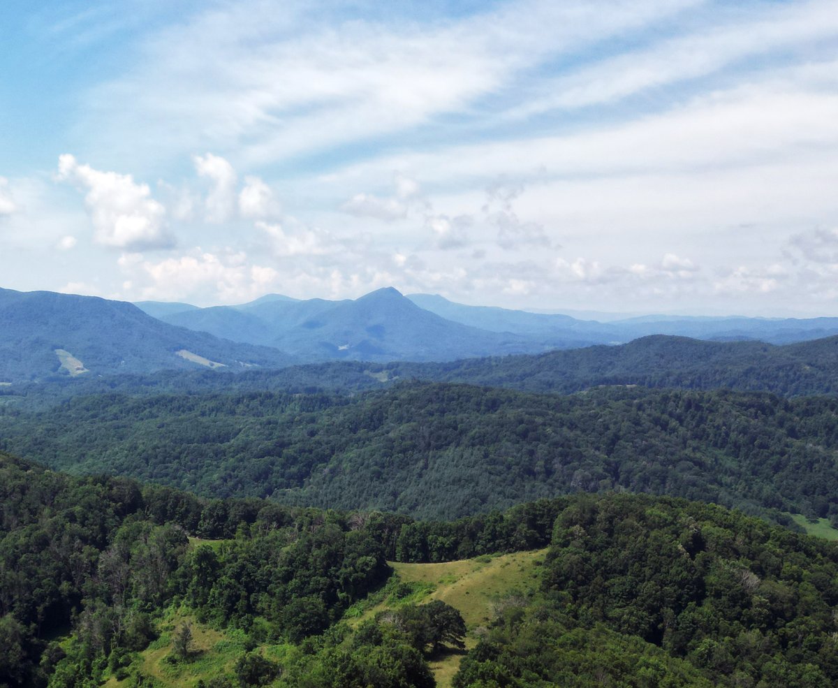 BlueRidgeConservancy tweet media