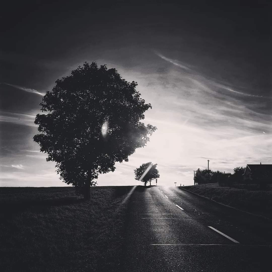 #Fryšták #Czechia #Zlínskýkraj #cloud #atmosphere #sky #plant #roadsurface #flashphotography #naturallandscape #asphalt #black-and-white #sunlight #style #tree #ruralarea #horizon #landscape #grass #road #calm #monochromephotography #monochrome #darkness #field #shadow #evening