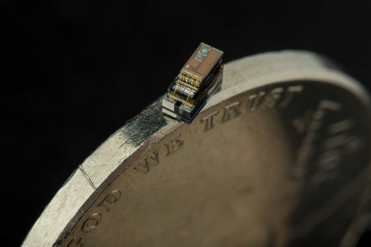 tech_plygrnd's tweet photo. Did you know that the world's smallest computer is smaller than a grain of rice? 💻🌾 It's called a "Michigan Micro Mote" and can be used for various applications like monitoring environmental conditions and medical devices! 🌍🏥 #Today #Growth #TechFacts #Technology https://t.co/bsTAlHf2sn