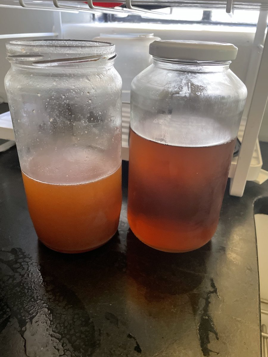 Guess who accidentally drank veggie broth instead of iced tea this morning.