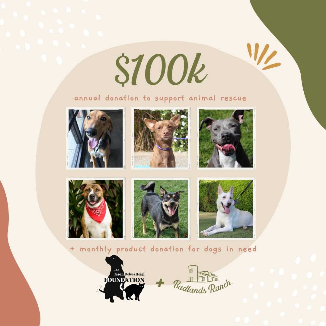 #InternationalDayOfCharity 🌟 At #BadlandsRanch, our commitment to @jasonheiglfound shines through a yearly contribution of $100k &amp; monthly product donations, fueling their vital work in rescuing animals. 🏡🐾Learn more here: l8r.it/o7Ay⁠  #BadlandsRanchPets #Charity