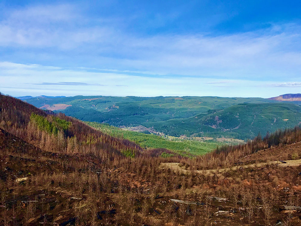 New! Quantifying impacts of forest fire on soil #carbon in a young, intensively managed tree farm in the western Oregon Cascades - #OpenAccess study by McCool &amp; colleagues doi.org/10.1002/saj2.2…
<a href="/OregonState/">Oregon State University</a> @SSISSacState <a href="/sacstate/">Sacramento State</a> <a href="/Weyerhaeuser/">Weyerhaeuser</a>