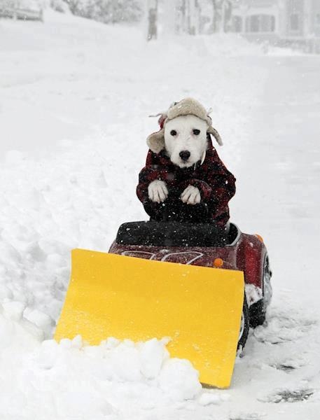 SnowStakes's tweet photo. πΆβοΈ
#snowremoval #snowremovalservices #commercialsnowremoval #commercialsnowplowing #snow #snowplowlife#plowstakes #snow #snowplow #plow #plowtrucks #plowdriver #snowing #winter #snowstakes #discountsnowstakes https://t.co/1nwZ6WLlrC