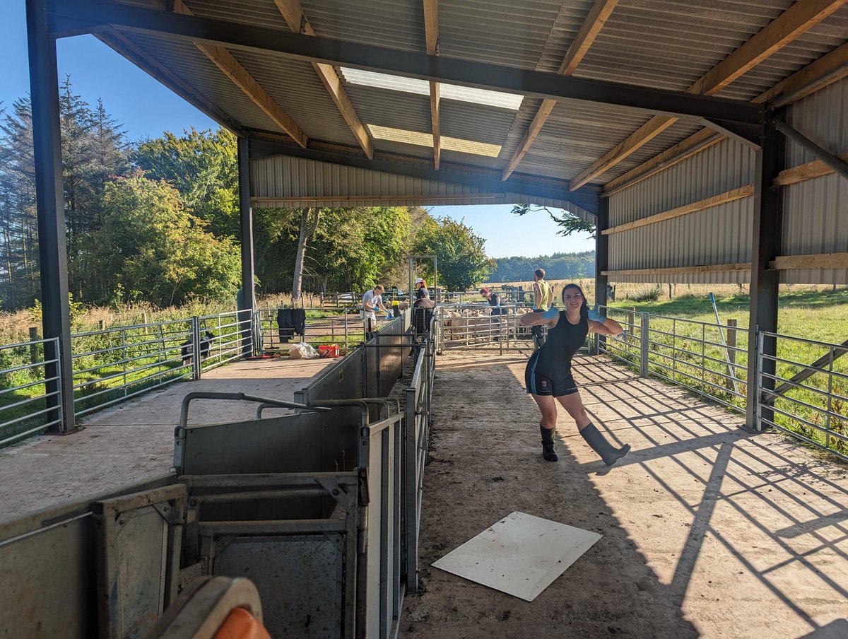 Cassie McGregor (@cassiemoogregor) on Twitter photo A busy yet relaxed and sunny day up at Firth Mains today - managed to escape with no bruises or poo on me this time! <a href="/jadeduncanx/">Jade Duncan</a> <a href="/MoredunComms/">The Moredun Foundation</a> A busy yet relaxed and sunny day up at Firth Mains today - managed to escape with no bruises or poo on me this time! <a href="/jadeduncanx/">Jade Duncan</a> <a href="/MoredunComms/">The Moredun Foundation</a>