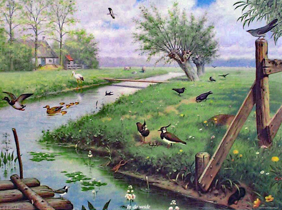 Polderfietser's tweet photo. #natuur #biodiversiteit #polderland
Of ik wel eens nostalgisch ben? Best wel :)

M.A. Koekoek ca. 1910: https://t.co/yjyZPNK3O6